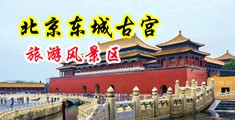 嗯啊好硬好爽在线视频中国北京-东城古宫旅游风景区